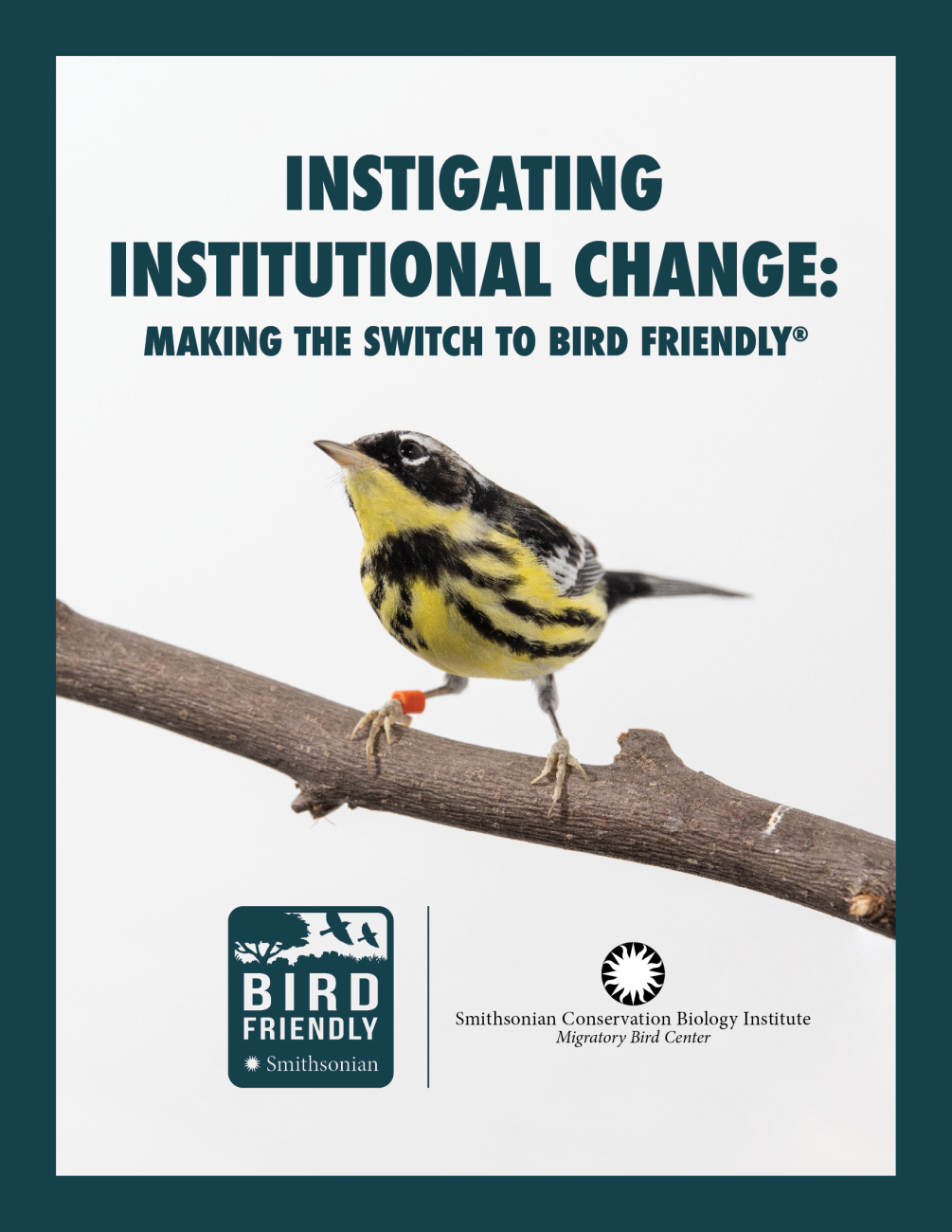 The first page of the "Instigating Institutional Change: Making the Switch to Bird Friendly" toolkit featuring a wood thrush bird perched on a branch, and the Bird Friendly and Smithsonian Conservation Biology Institute logos