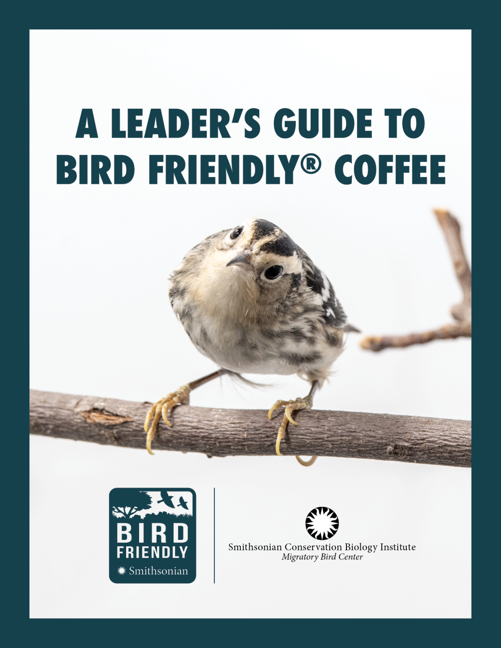 The first page of the "A Leader's Guide to Bird Friendly Coffee" toolkit featuring a wood thrush bird perched on a branch, and the Bird Friendly and Smithsonian Conservation Biology Institute logos