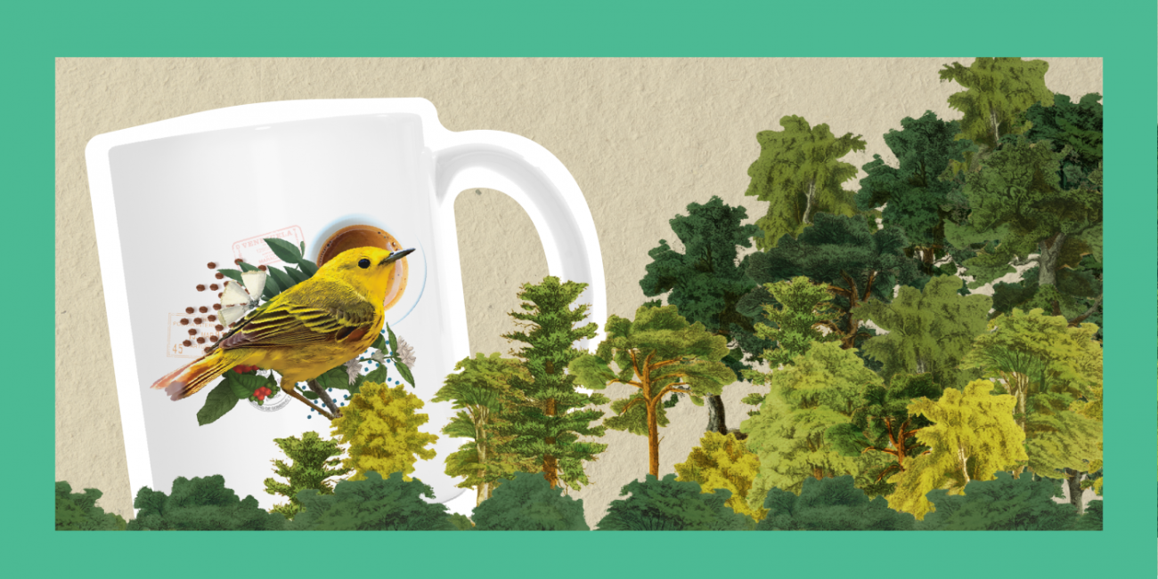 Layers of trees and shrubs, and a coffee mug with a bird on it