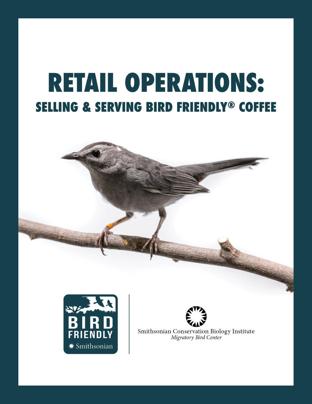 The first page of the retail operations bird friendly toolkit PDF ("Retail Operations: Selling & Serving Bird Friendly Coffee") featuring a gray catbird perched on a branch and the Bird Friendly and Smithsonian Conservation Biology Institute logos