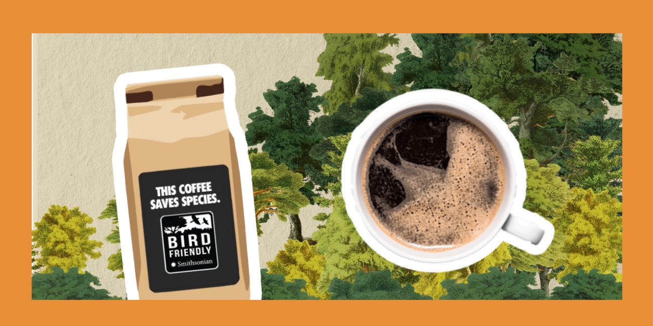 A bag of bird friendly coffee next to a mug filled with coffee; trees are in the background