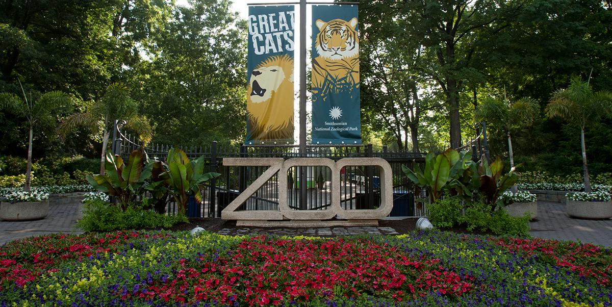 The entrance to the Smithsonian's National Zoo, featuring a large concrete sculpture of the word "ZOO" situated behind a colorful flowerbed