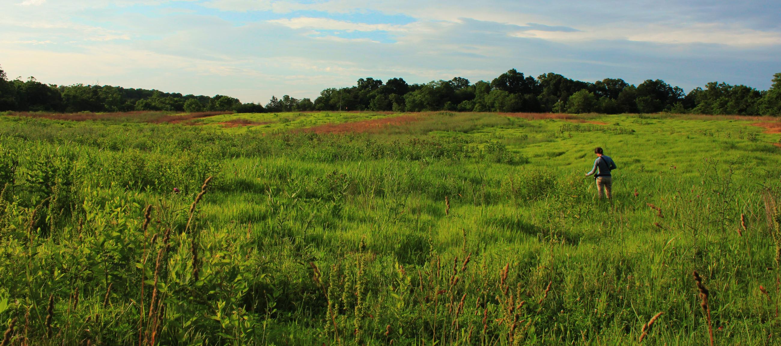 case study land use