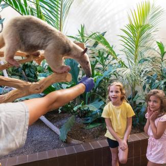 Education | Smithsonian's National Zoo and Conservation Biology Institute