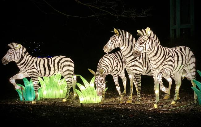 ZooLights | Smithsonian's National Zoo and Conservation Biology Institute