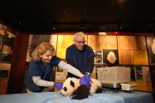 Zoo Director Brandie Smith and David Rubenstein pictured with giant panda cub Bei Bei on Dec. 15, 2015.