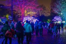 Visitors at the 2023 Zoo Lights event at the Smithsonian's National Zoo.