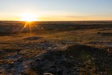 Photo of the sun rising over an open prairie. In the midground, a prairie dog burrow can be seen.