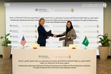 On May 14, 2025, NZCBI Director Brandie Smith and Royal Commission for AlUla CEO Abeer AlAkel sign an agreement involving the international conservation and loan of critically endangered Arabian leopards from Saudi Arabia. On May 14, 2025, NZCBI Director Brandie Smith and Royal Commission for AlUla CEO Abeer AlAkel sign an agreement involving the international conservation and loan of critically endangered Arabian leopards from Saudi Arabia.