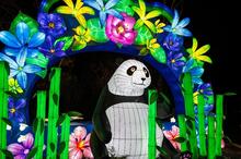 Giant panda lantern surrounded by colorful flower archway and illuminated stalks of bamboo. Credit: Roshan Patel/Smithsonian