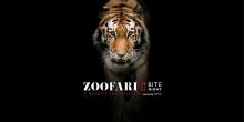 A tiger in front of a black background with the text "Zoofari: Bite Night. A benefit for wildlife sponsored by Geico"