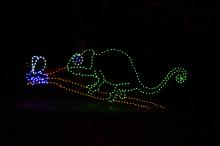 ZooLights Chameleon Light Display