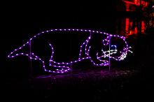 ZooLights Naked Mole Rat Light Display