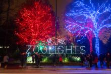 The Zoo's entrance is lit up with a ZooLights sign made entirely of lights. On top of "ZooLights" is a red panda. Behind the entry to the left is a tree decked with red lights, and to the right is one decked with blue.