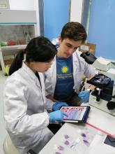 Two scientists sit together at a desk with a microscope and other equipment and review data on a digital tablet