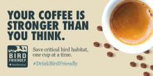Graphic text with a coffee cup and coffee beans: "your coffee is stronger than you think. save critical bird habitat, one cup at a time. #DrinkBirdFriendly"