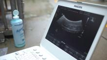 A computer displaying an ultrasound image from a giant panda ultrasound