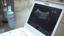 Veterinarians perform a routine ultrasounds on giant panda Mei Xiang to track changes in her reproductive track. It is still too early to determine if she is pregnant or experiencing a pseudopregnancy. Photo: Roshan Patel/Smithsonian’s National Zoo A computer displaying an ultrasound image from a giant panda ultrasound