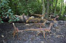 A group of small, animatronic dinosaurs in a wooded area