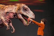 Child feeding a life-sized T. Rex on stage. 