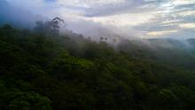 A landscape photo of Mamoni Valley Preserve in Panama