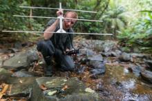 Smithsonian-Mason School of Conservation Ph.D. student Blake Klocke uses a radio transmitter to track 16 Limosa harlequin frogs 