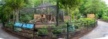 The binturong exhibit on the Claws and Paws Pathway. The pathway is circular, with the binturong exhibit in the center. The area is surrounded by a low black fence and the exhibit is covered in black mesh. Inside there are wooden climbing structures.