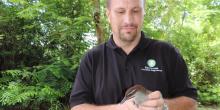 Smithsonian Conservation Biology Institute deputy director Will Pitt releases Guam rails on Rota.