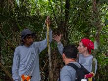 Smithsonian research team setting up light traps at the field site in the Peruvian Amazon.