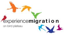 A logo with colorful birds around the words "experience migration"
