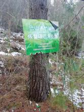 A sign marking a bamboo restoration plot in Guanyinshan Nature Reserve