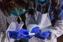 Scientists with Smithsonian's Global Health Program sampling a wrinkle-lipped bat in Myanmar. 