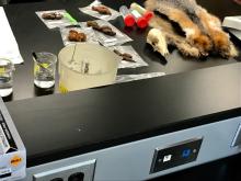A lab table with some beakers of liquid and samples of hair, bones and fecal matter from various animals