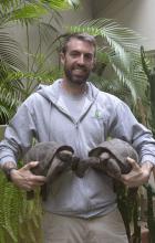 A keeper holds two Aldabra tortoises, one in each arm. 