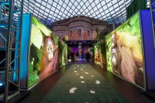 A walkway with animal prints and large photographs at the Smithsonian's National Zoo's Monkey Business Gala