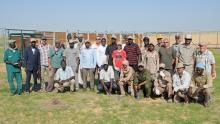 the oryx collaring team