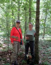 Patty Lane (left) and Kate Heneberry (right) during their survey during which they found four endangered purple fringeless orchids.