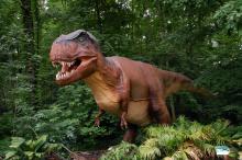 A life-sized animatronic T. Rex. 