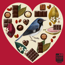 Colorful heart-shaped Valentine's Day graphic featuring bright blue bird, cacao pods and seeds, chocolates and leaves. 