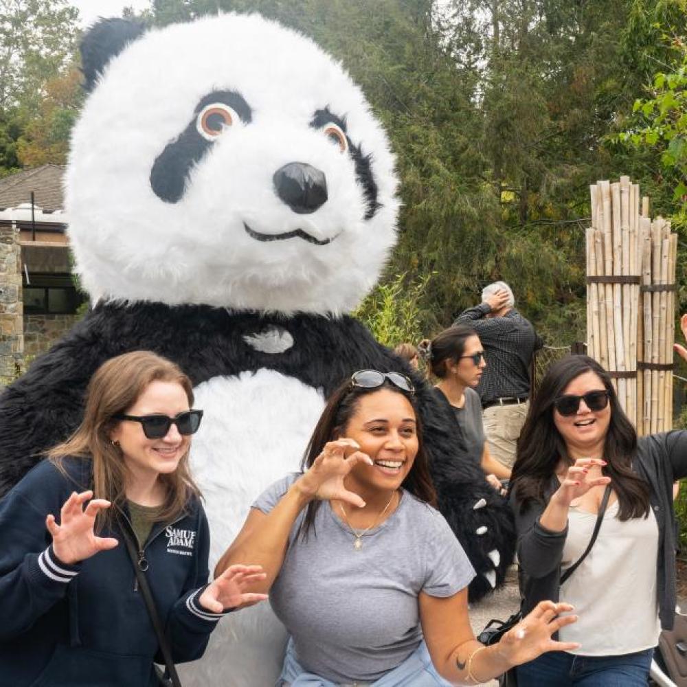 A group of panda fans make bear poses next to a costume mascot panda in front of the Zoo's panda exhibit.