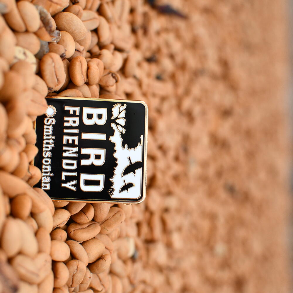 Pin on Beans