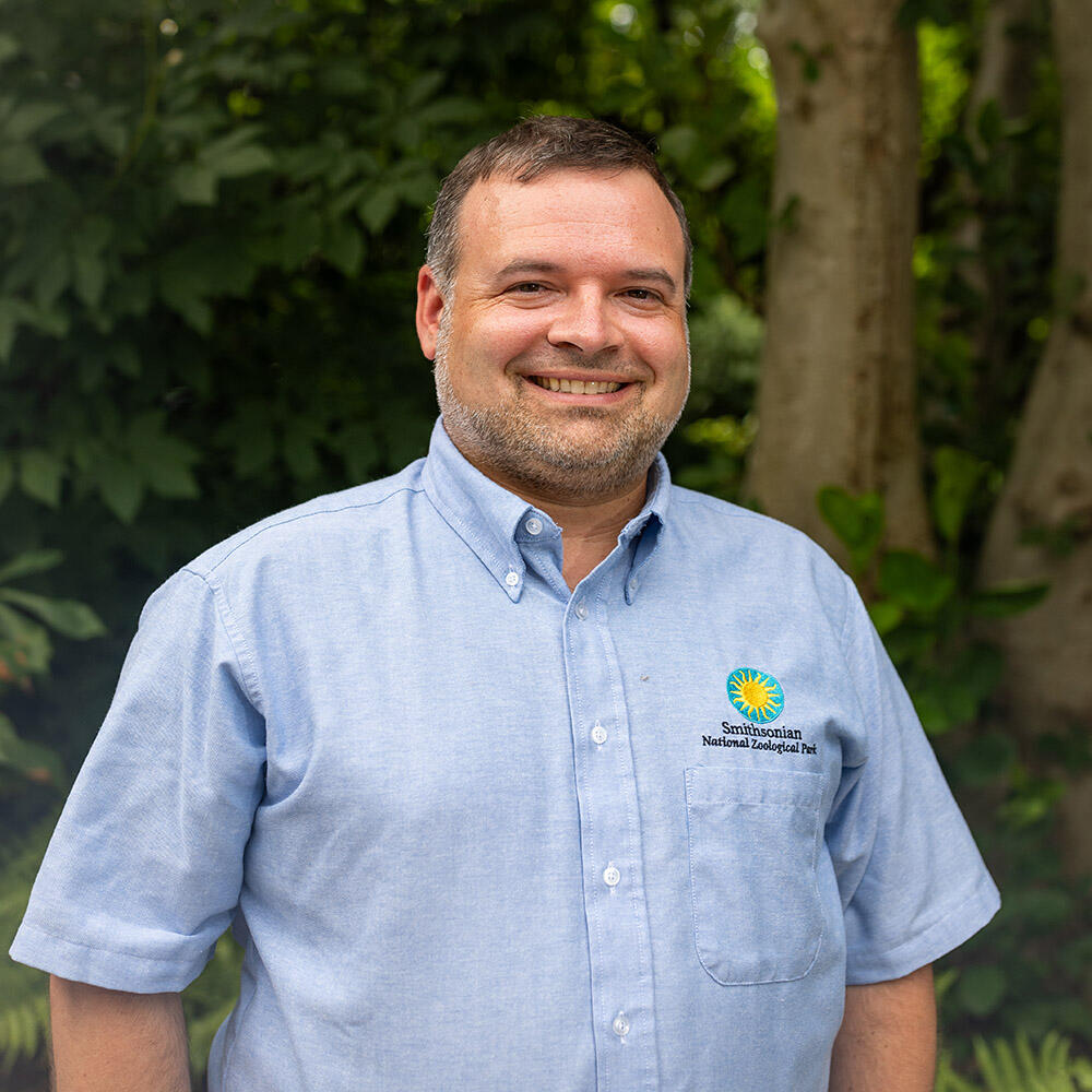Male curator in a blue shirt