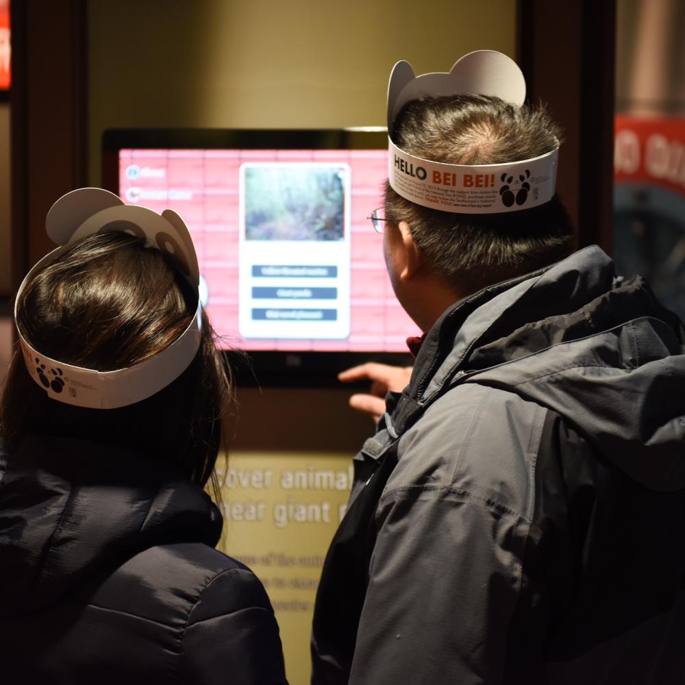 Two visitors wearing paper panda hats interact with a touchscreen exhibit in the Panda House during the Smithsonian's National Zoo's Giant Panda Housewarming Celebration