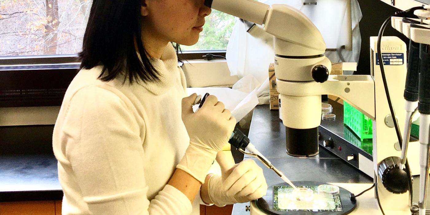 Reproductive scientist looking through a microscope.