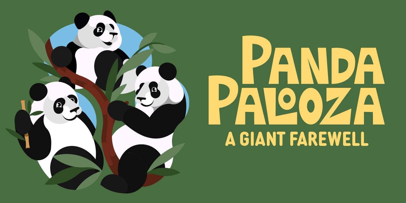 Panda Palooza logo image with three cartoon pandas in a tree.