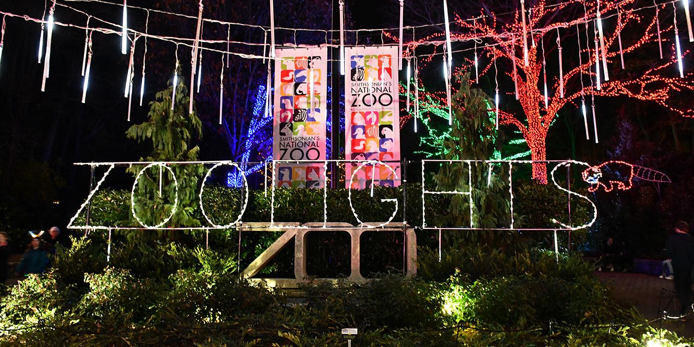 The entrance to the Zoo, with a light structure that says "Zoolights" and hanging icicle lights.