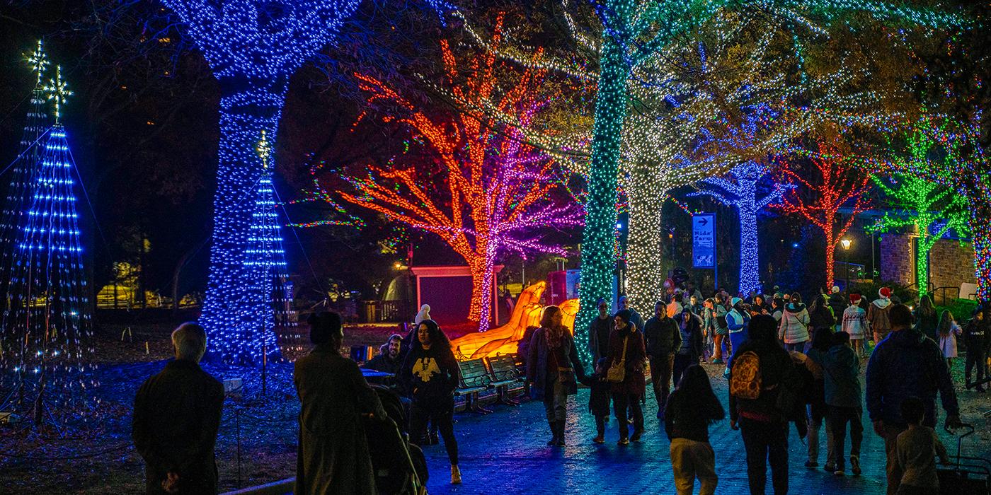 Guests walking through the Zoolights event with illuminated trees behind them.