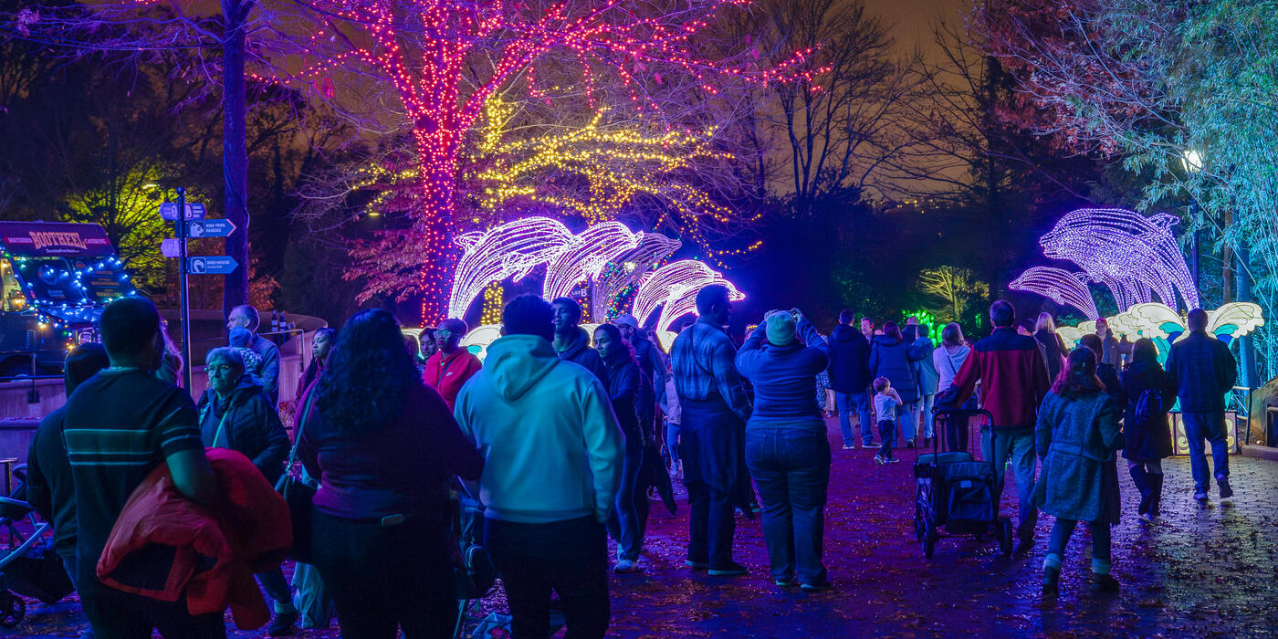 Visitors at the 2023 Zoo Lights event at the Smithsonian's National Zoo.