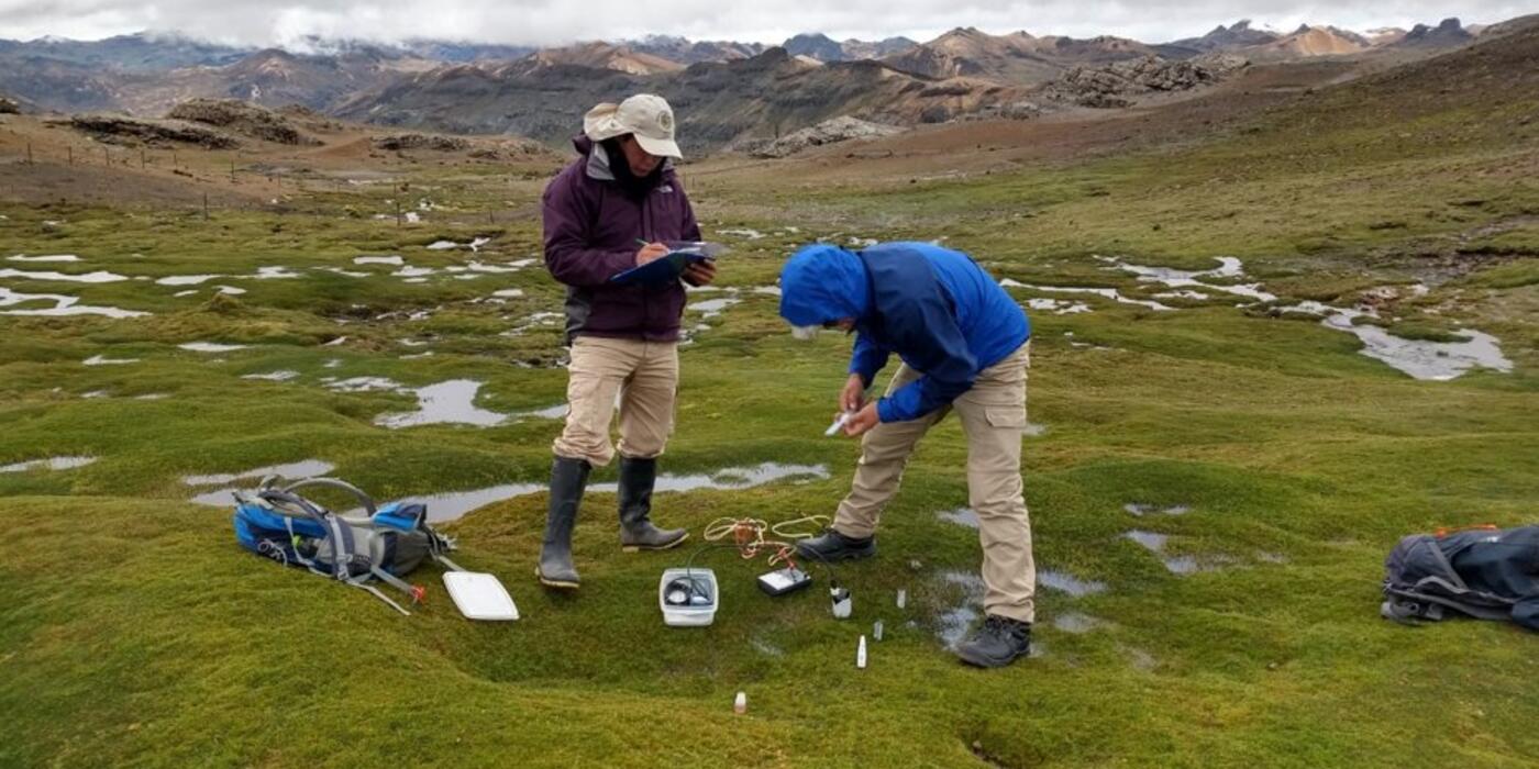 researchers performing conservation field work