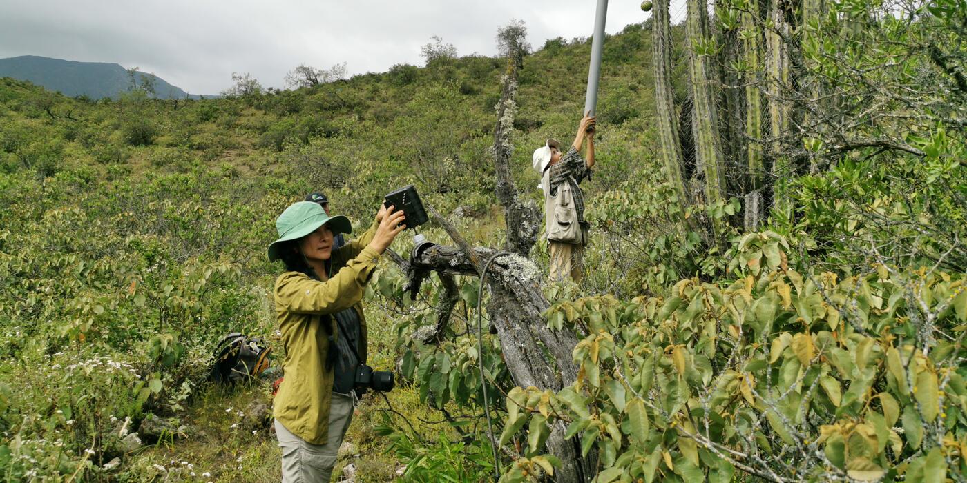 CCS Researcher in the field